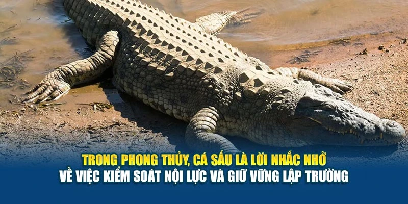 Mơ Thấy Cá Sấu Nên Đánh Con Gì tại 78Win? Gợi Ý Từ Giấc Chiêm Bao 7 Trong phong thủy, cá sấu là lời nhắc nhở về việc kiểm soát nội lực và giữ vững lập trường
